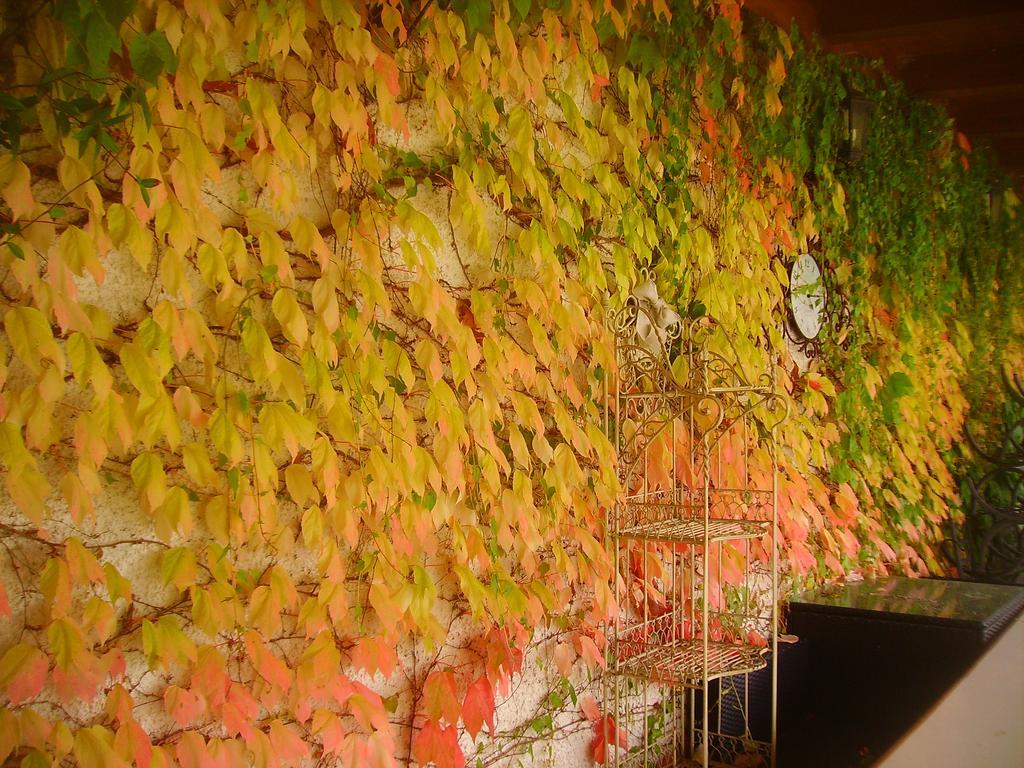 B&B Margherita Le Fiabe Sant'Agata Feltria Bagian luar foto