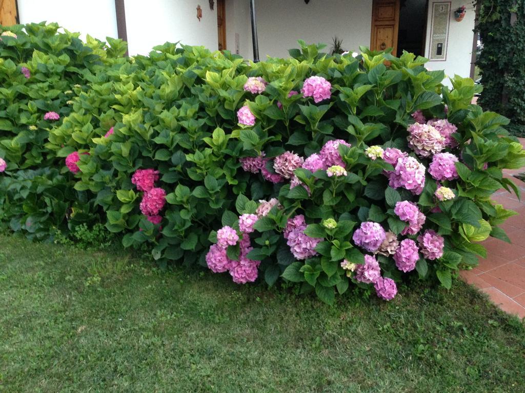 B&B Margherita Le Fiabe Sant'Agata Feltria Bagian luar foto